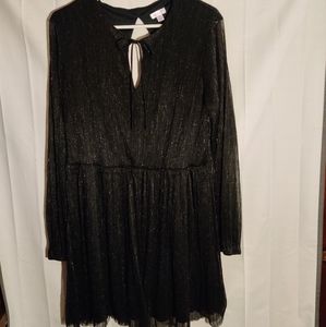 🖤 Sparkly Black Dress with Sleeves